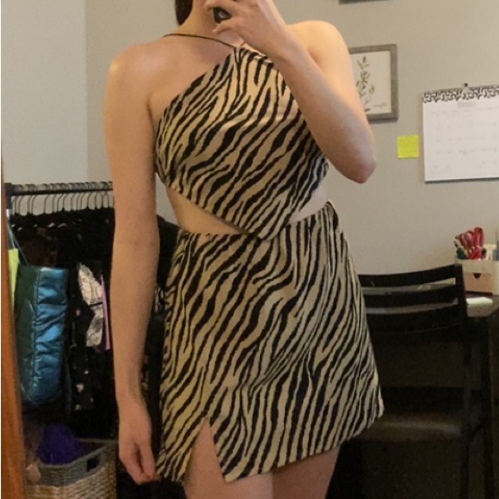 Brown Zebra Print set